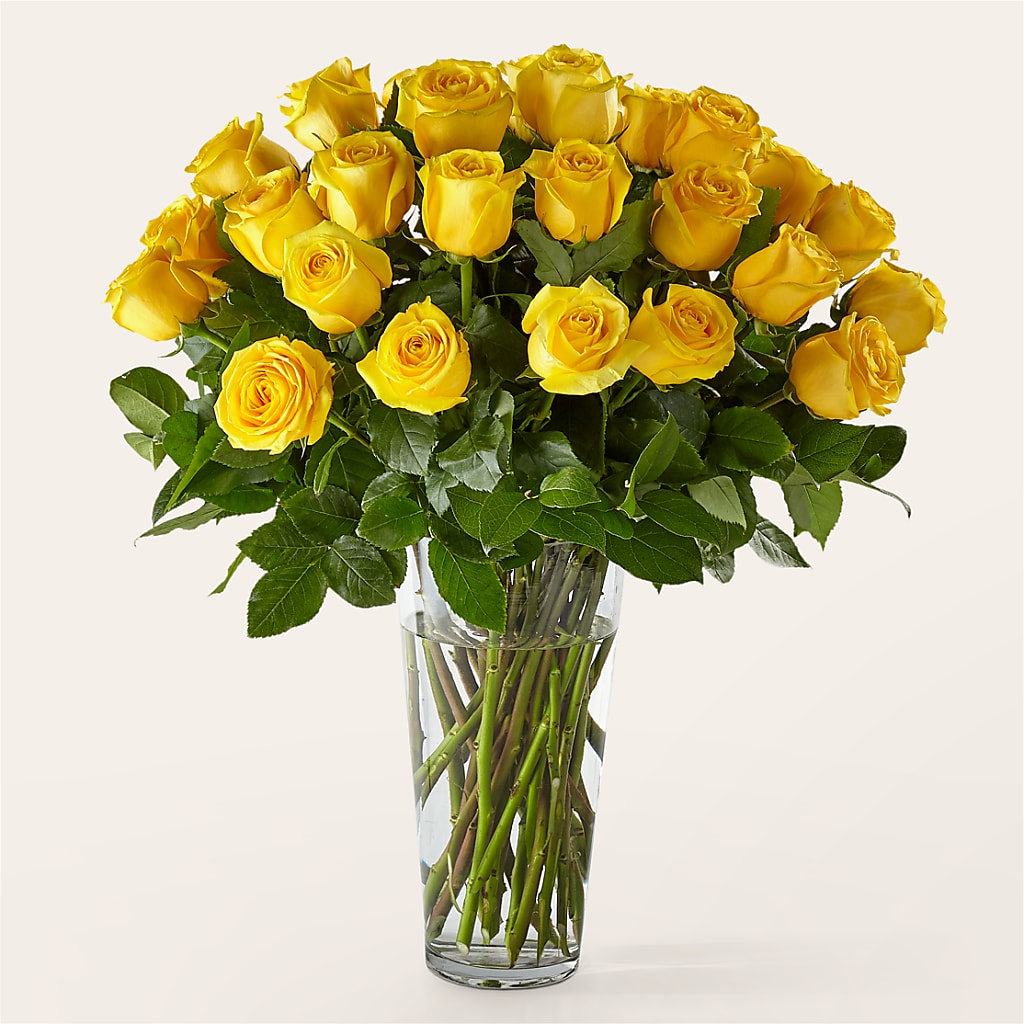 Long Stem Yellow Rose Bouquet – MRS D'S FLOWER SHOP INC, Lakeland FL