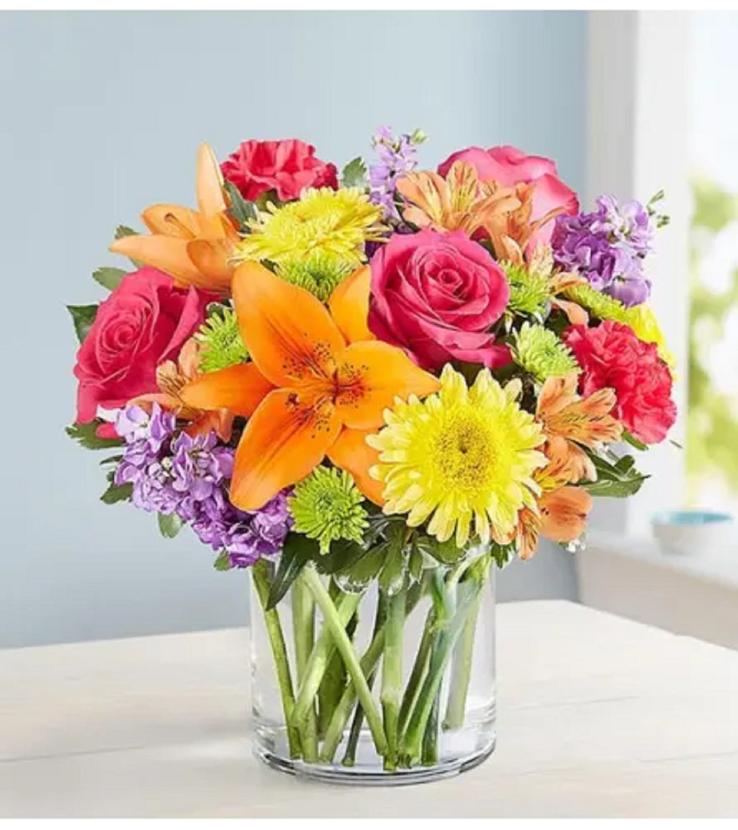 Vibrant Beauty