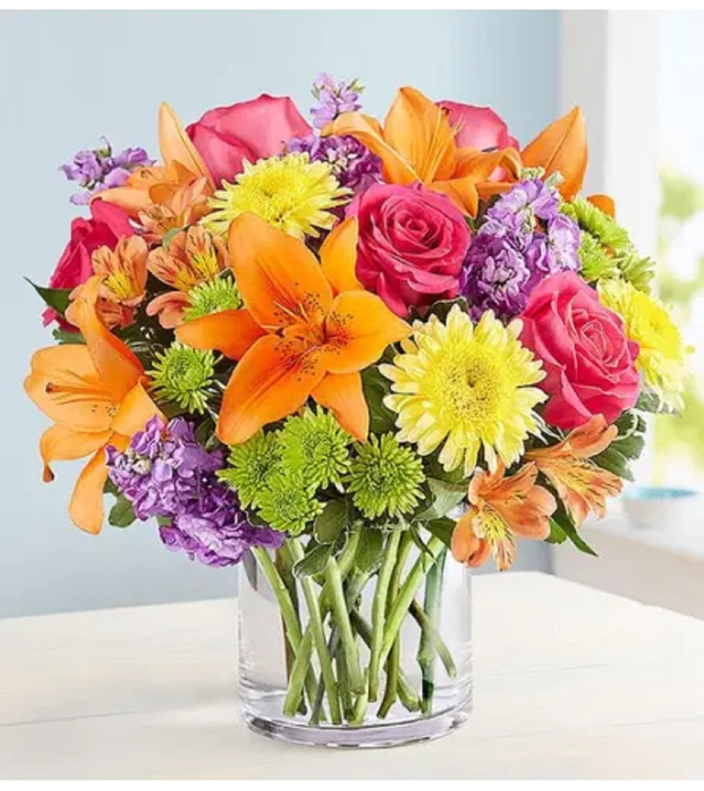 Vibrant Beauty
