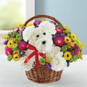 NEW A-DOG-ABLE IN A BASKET – MRS D'S FLOWER SHOP INC, Lakeland FL