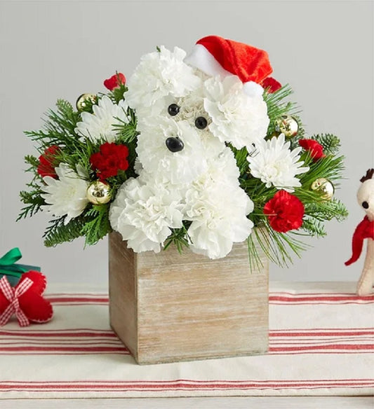 SANTA PAWS