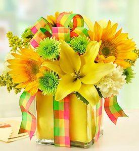 YELLOW ALL WRAPPED UP