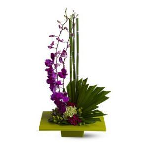 ZEN ARTISTRY – MRS D'S FLOWER SHOP INC, Lakeland FL