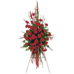 RED REGARDS