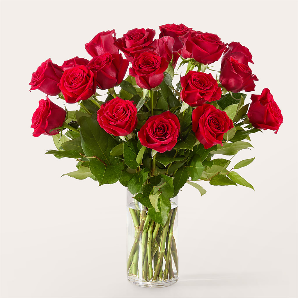 The One Red Rose Bouquet – MRS D'S FLOWER SHOP INC, Lakeland FL