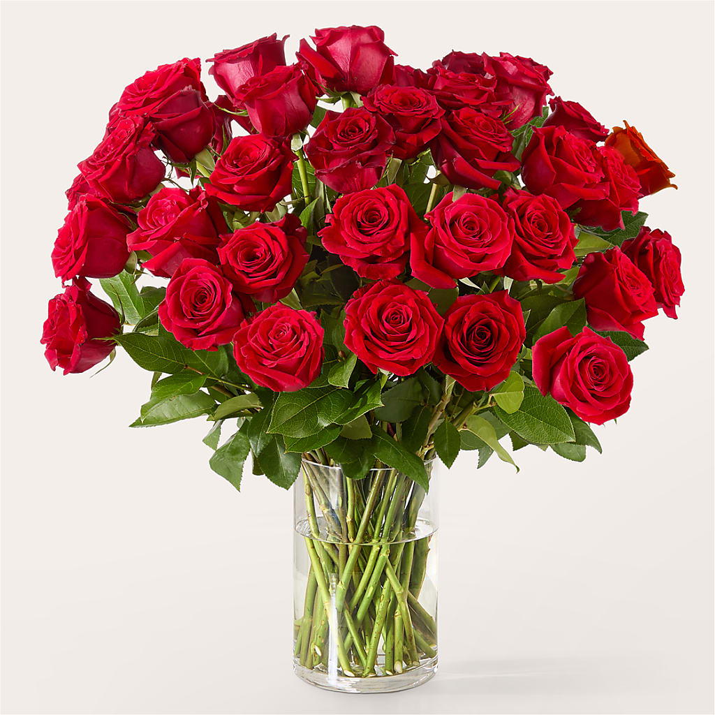 The One Red Rose Bouquet – MRS D'S FLOWER SHOP INC, Lakeland FL
