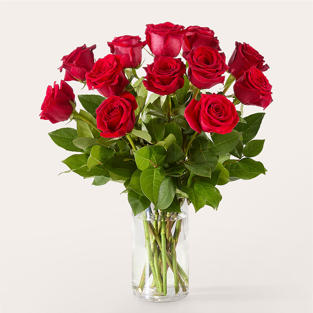 The One Red Rose Bouquet – MRS D'S FLOWER SHOP INC, Lakeland FL