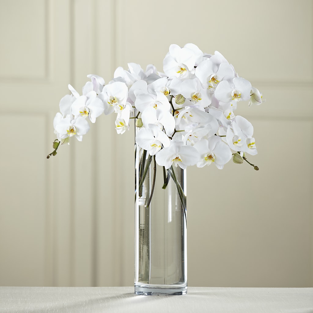 White Phalaenopsis Bouquet – MRS D'S FLOWER SHOP INC, Lakeland FL