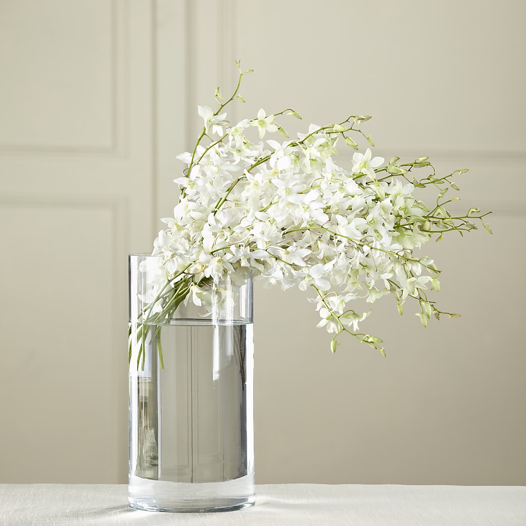 White Dendrobium Bouquet – MRS D'S FLOWER SHOP INC, Lakeland FL
