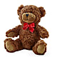 Adorable Plush Bear – MRS D'S FLOWER SHOP INC, Lakeland FL