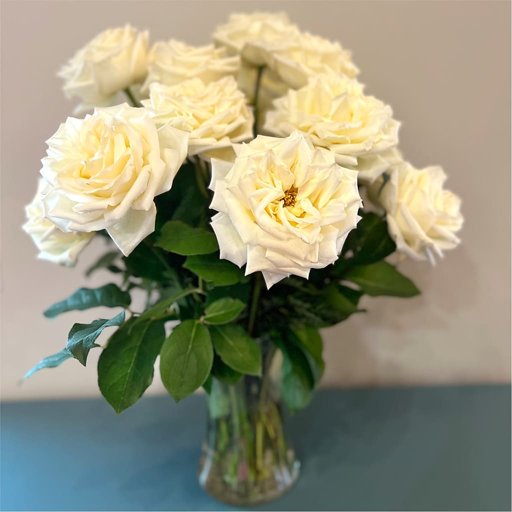 Long Stem Yellow Rose Bouquet – MRS D'S FLOWER SHOP INC, Lakeland FL