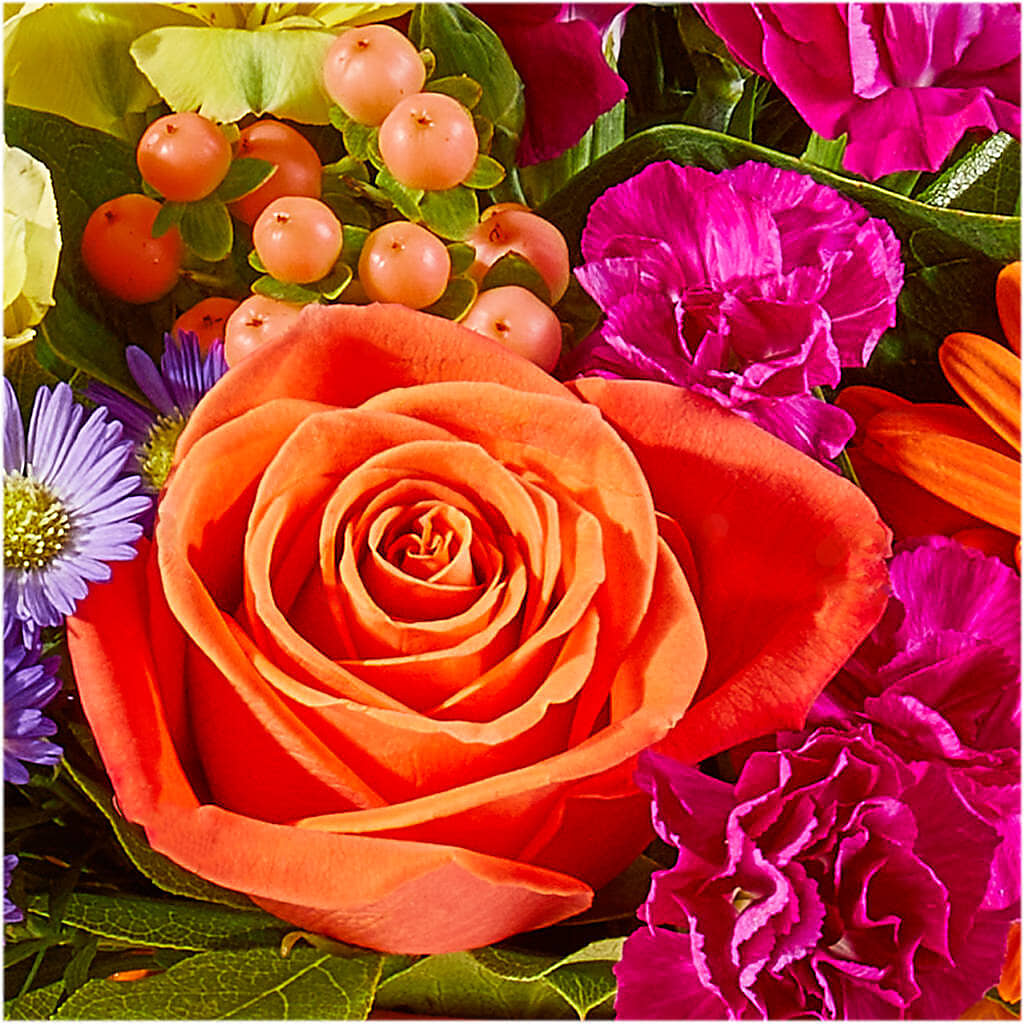 Tricks & Treats Pumpkin – MRS D'S FLOWER SHOP INC, Lakeland FL