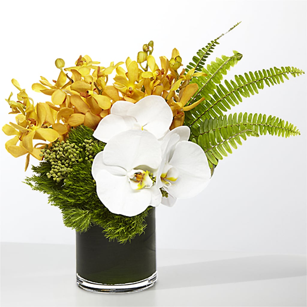 The Tropics – MRS D'S FLOWER SHOP INC, Lakeland FL