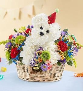 Another Year Rover – MRS D'S FLOWER SHOP INC, Lakeland FL