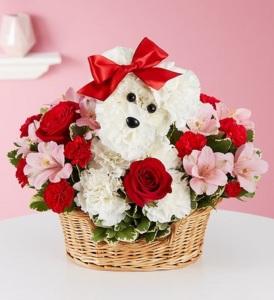 Love Pup – MRS D'S FLOWER SHOP INC, Lakeland FL