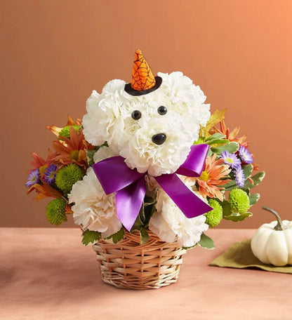 Witchy Pooch – MRS D'S FLOWER SHOP INC, Lakeland FL
