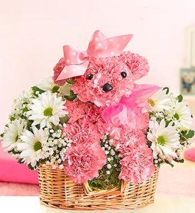Princess Paws – MRS D'S FLOWER SHOP INC, Lakeland FL