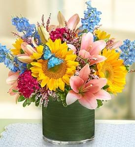 Simple Sophistication – MRS D'S FLOWER SHOP INC, Lakeland FL