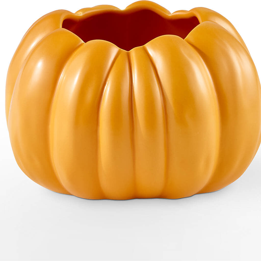 Golden Gourd Pumpkin Bouquet – MRS D'S FLOWER SHOP INC, Lakeland FL