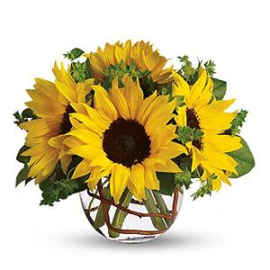 SUNNY FLOWERS – MRS D'S FLOWER SHOP INC, Lakeland FL