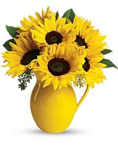 Sunny Day Pitcher of Sunflowers