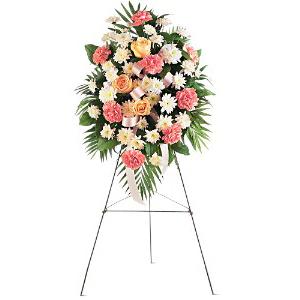 GENTLE THOUGHTS – MRS D'S FLOWER SHOP INC, Lakeland FL