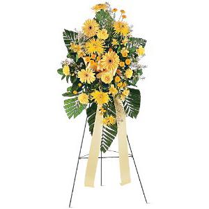 BRIGHTER BLESSINGS – MRS D'S FLOWER SHOP INC, Lakeland FL