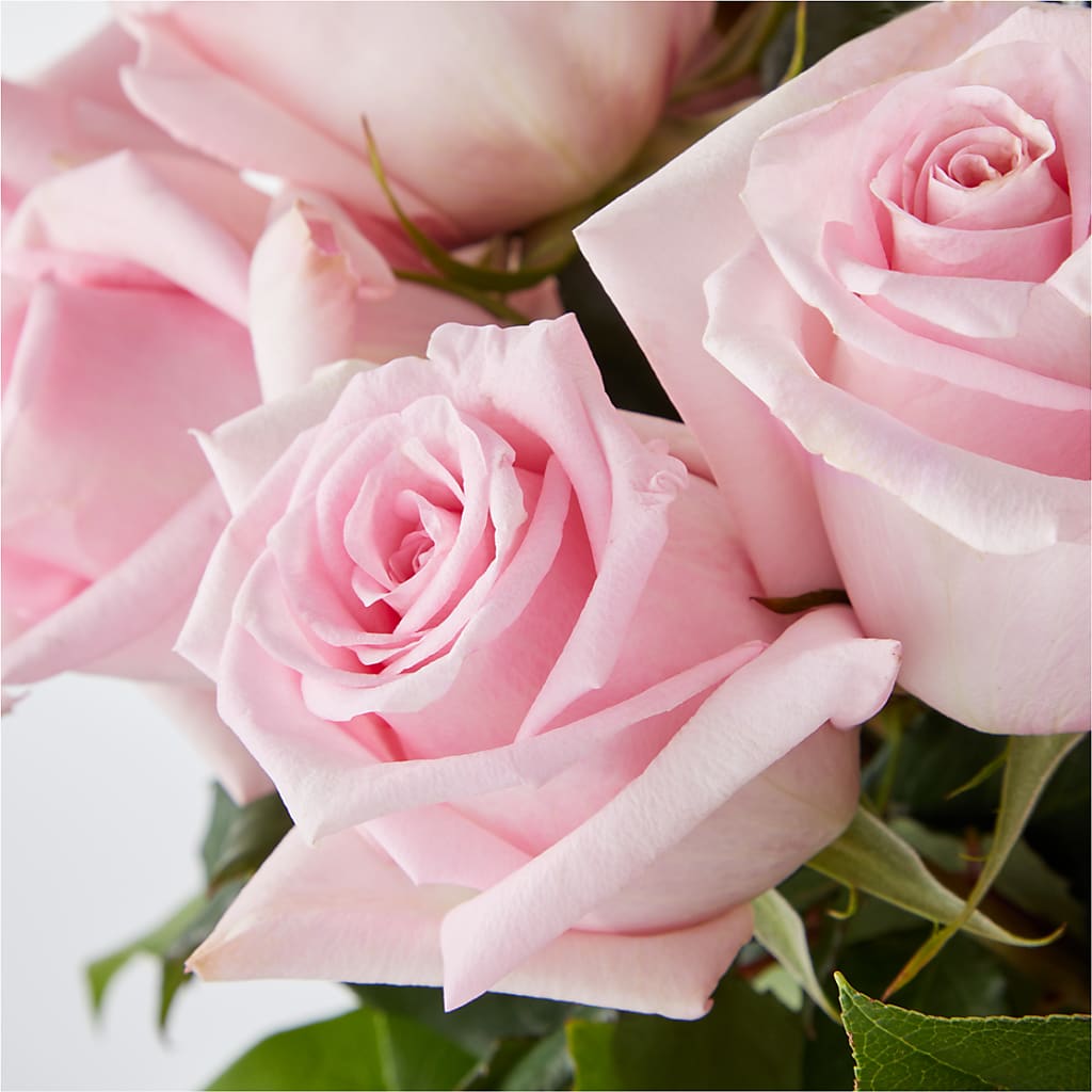 Picture Perfect Pink Rose Bouquet – MRS D'S FLOWER SHOP INC, Lakeland FL