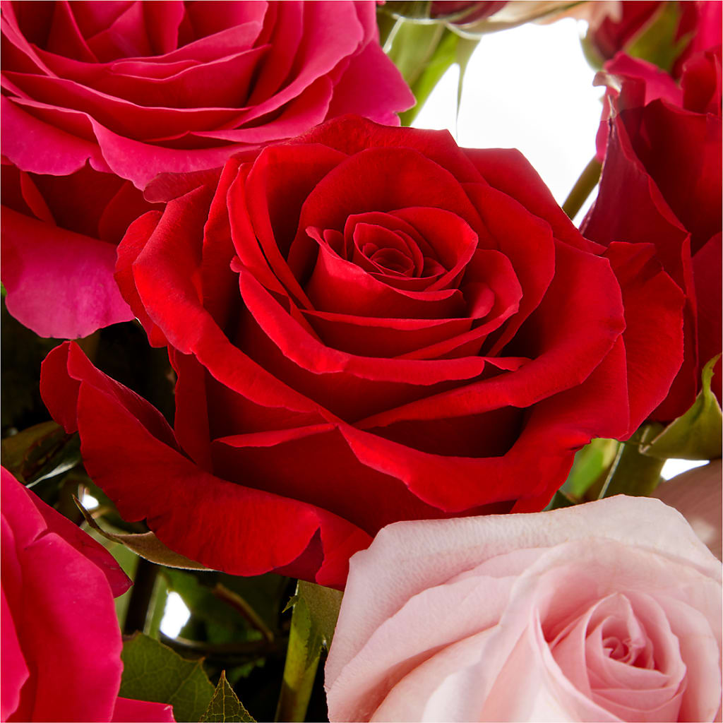 Love Notes Rose Bouquet – MRS D'S FLOWER SHOP INC, Lakeland FL
