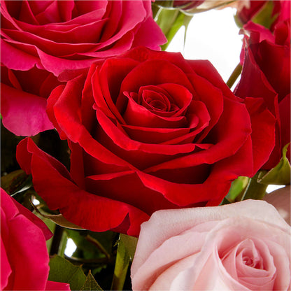 Love Notes Rose Bouquet – MRS D'S FLOWER SHOP INC, Lakeland FL