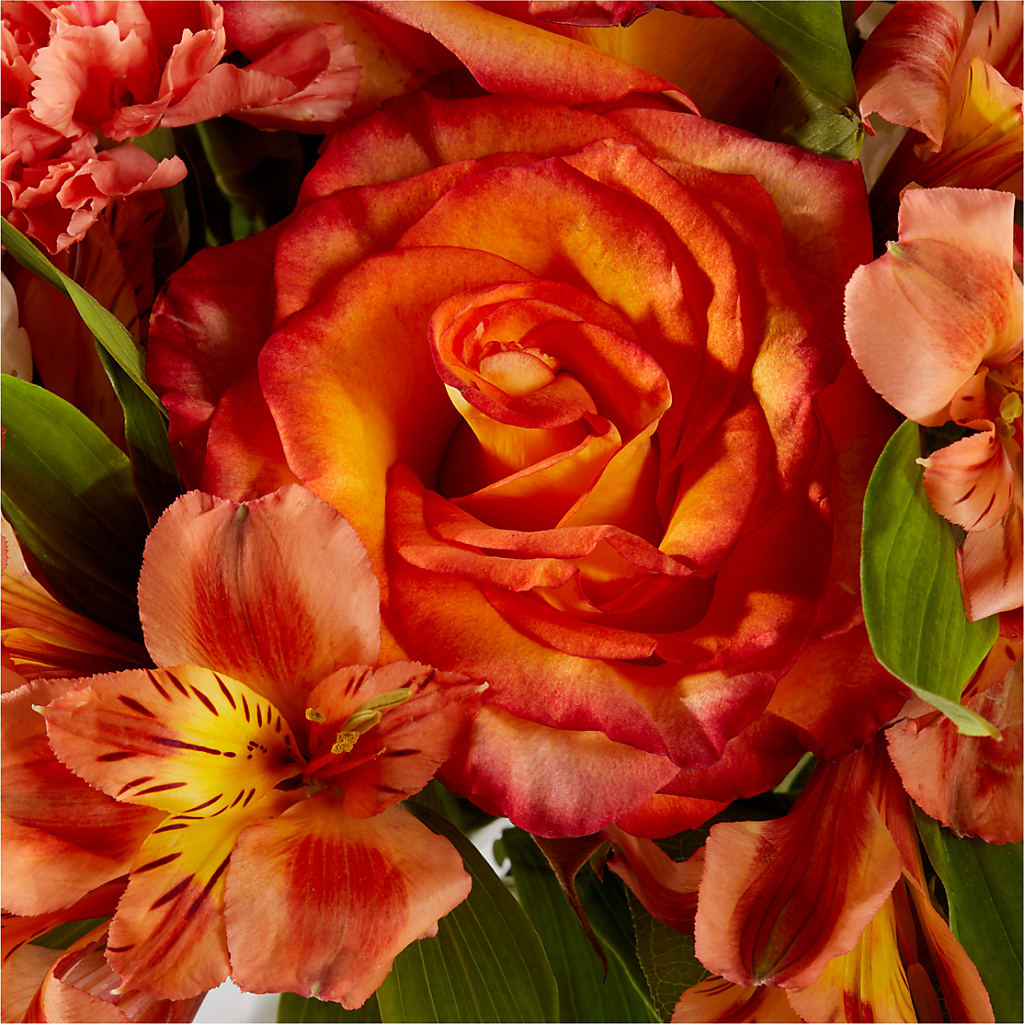 Apricot Glow Bouquet – MRS D'S FLOWER SHOP INC, Lakeland FL