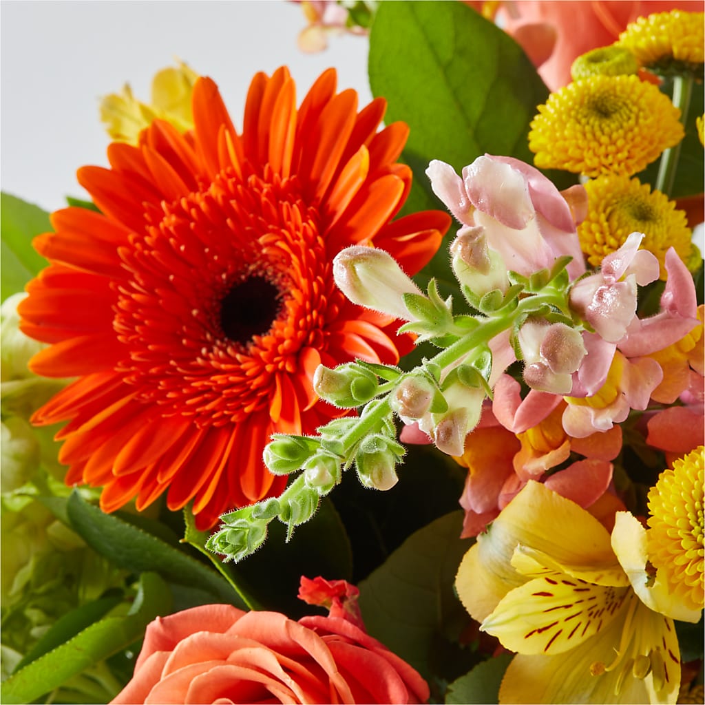 Autumn Sunshine Bouquet – MRS D'S FLOWER SHOP INC, Lakeland FL
