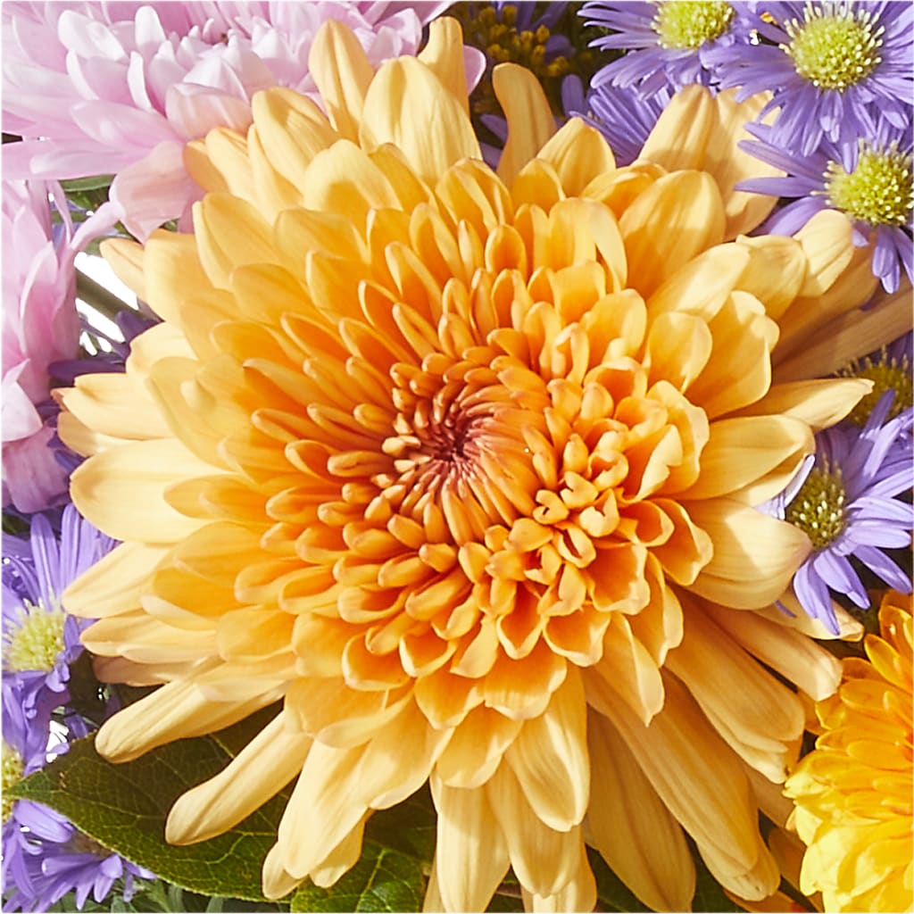Countryside Bouquet – MRS D'S FLOWER SHOP INC, Lakeland FL