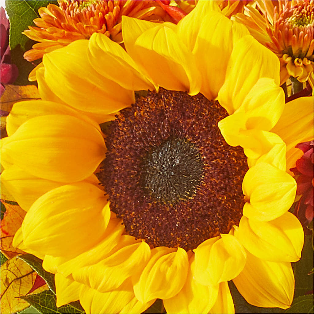 Sunny Side Bouquet – MRS D'S FLOWER SHOP INC, Lakeland FL