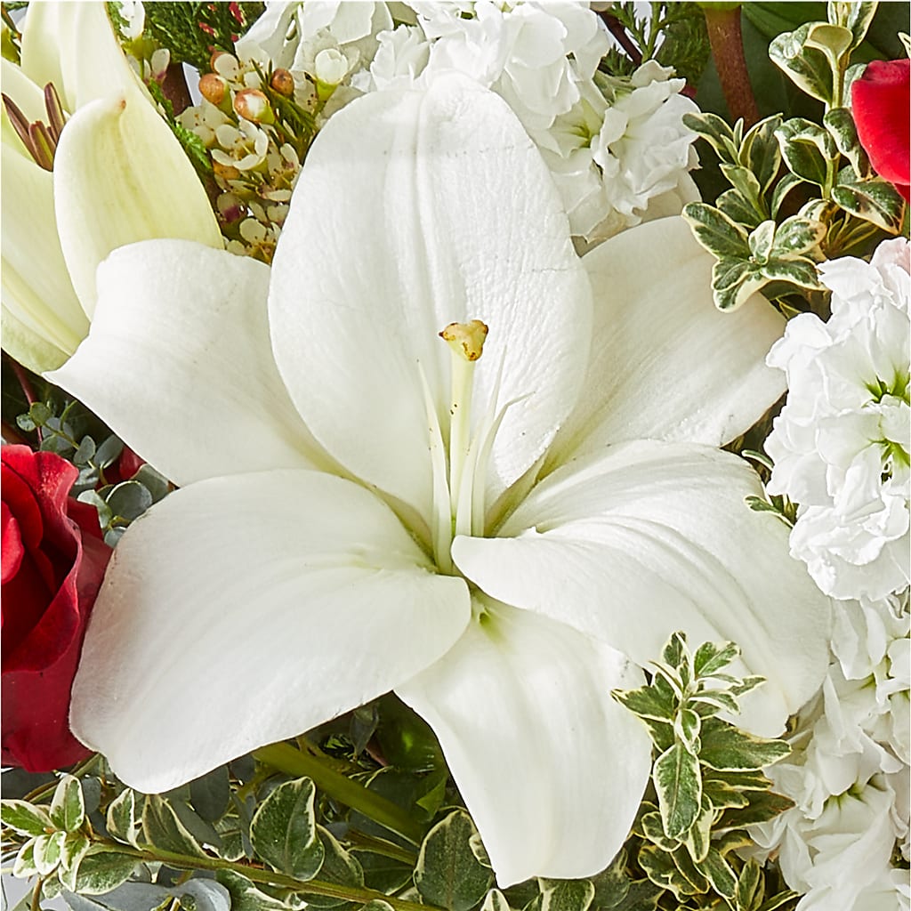 Twinkle Lights Bouquet – MRS D'S FLOWER SHOP INC, Lakeland FL