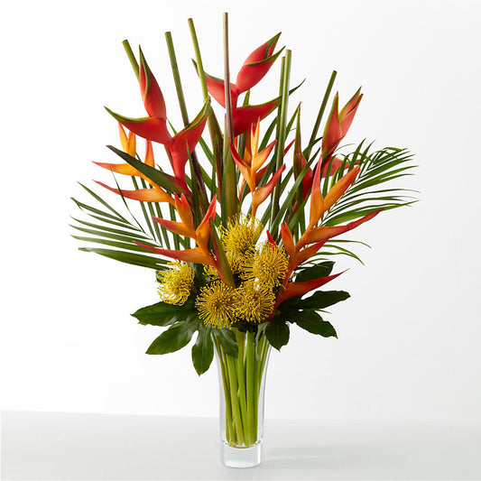 The Drama – MRS D'S FLOWER SHOP INC, Lakeland FL
