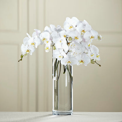White Phalaenopsis Bouquet – MRS D'S FLOWER SHOP INC, Lakeland FL