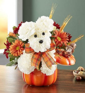 A Dog-able for Fall